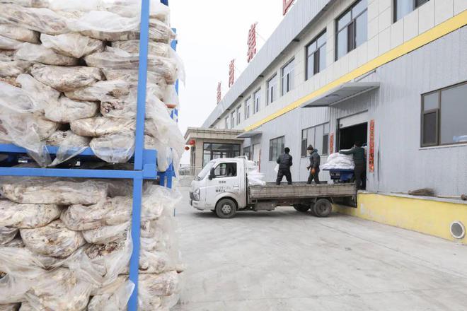 产业链创新实践助力畜牧业高质量发展开元棋牌app山西鑫海食品集团：全(图5)